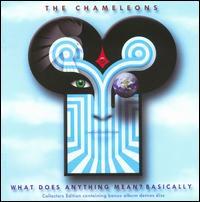 CHAMELEONS WHAT DOES ANYTHING MEAN - BASICALLY (BONUS CD) (CD) | Lemezkuckó CD bolt