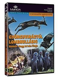 Gyöngyvirágtól lombhullásig Gyöngyvirágtól lombhullásig FILM (DVD) | Lemezkuckó CD bolt