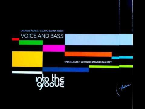 Voice and Bass (Lakatos Ágnes, Csuhaj Barna Tibor) Into the groove (CD) | Lemezkuckó CD bolt