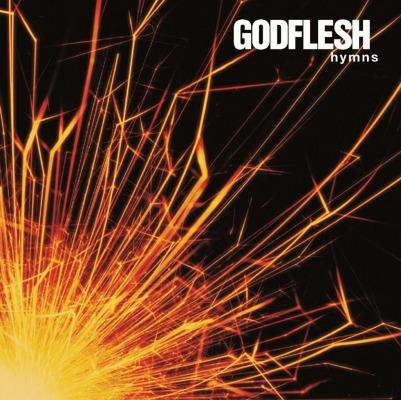 GODFLESH HYMNS (Vinyl LP) | Lemezkuckó CD bolt