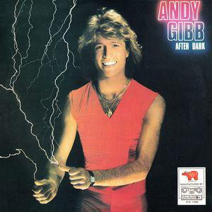 Gibb Andy After Dark (Vinyl LP) | Lemezkuckó CD bolt