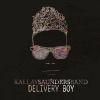 KÁLLAY SAUNDERS ANDRÁS Delivery Boy (CD) | Lemezkuckó CD bolt