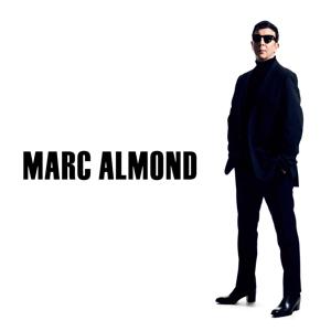 ALMOND,MARC SHADOWS & REFLECTIONS (Vinyl LP) | Lemezkuckó CD bolt