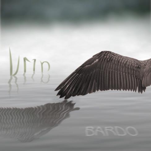 Kormorán Memory Band Bardo (CD) | Lemezkuckó CD bolt