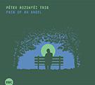 PÉTER ROZSNYÓI TRIÓ Pain of an angel (CD) | Lemezkuckó CD bolt